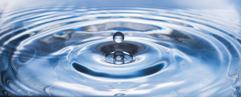 Schutz-vor-Salmonellen-KP-1